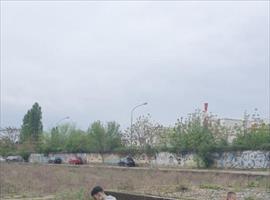 2a10a125-d9b3-45a0-aeb8-c323e6fbf549.jpg